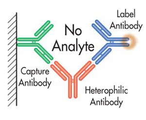 Antibodies - BlockingNeutralization Methods, Techniques, Protocols, elisa, pcr, cell culture2